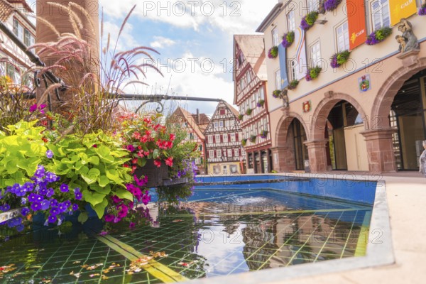 Colourful view of a fountain with half-timbered houses, decorated with flowers and reflecting water