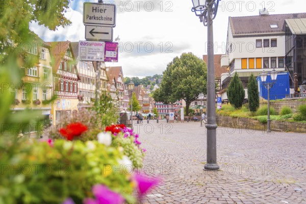 Cobbled street with colourful flowers and historic half-timbered houses, small town of Perle Calw,