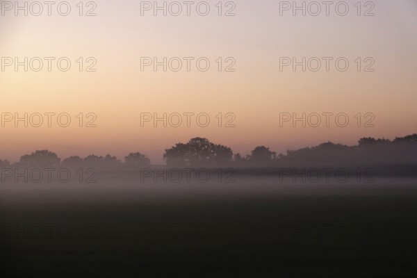 Landscape with morning fog, Summer, Saxony, Germany