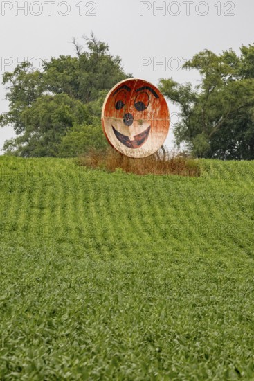 New Troy, Michigan - An old satellite dish converted to a grinning face on a farm in southwest