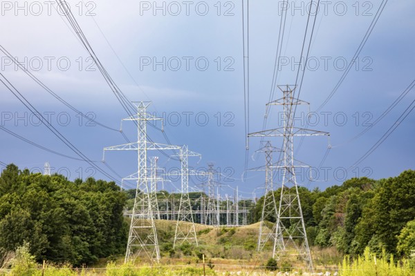 Bridgman, Michigan - High voltage power lines carry electricity from the Donald C. Cook Nuclear