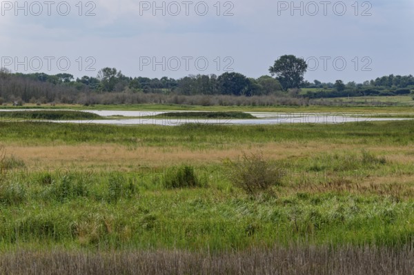 Heath, water areas, marshes, forests, salt marshes and dunes characterise the landscape in the