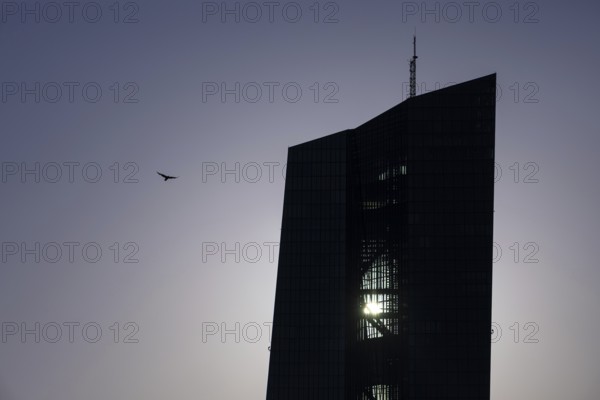 The sun passes behind the European Central Bank (ECB) in Frankfurt am Main, Frankfurt am Main,