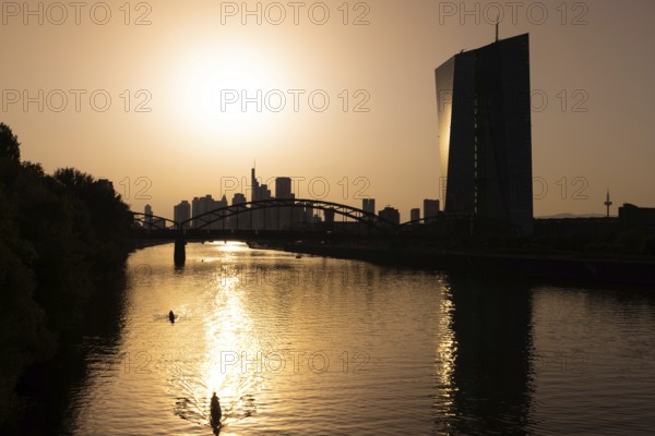 The sun is high above the European Central Bank (ECB) and the Frankfurt banking skyline, Frankfurt