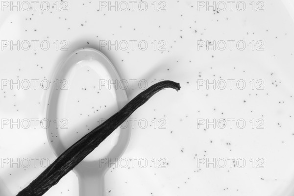 Spoon with vanilla pod, vanilla seeds in milk