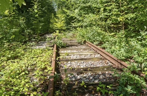 Rusty, overgrown tracks at the former Blumendorf railway station. Bad Oldesloe, Schleswig-Holstein,