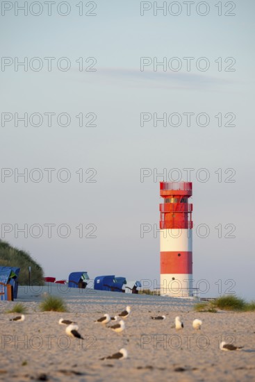Red and white lighthouse on the beach surrounded by beach chairs, in the foreground a flock of
