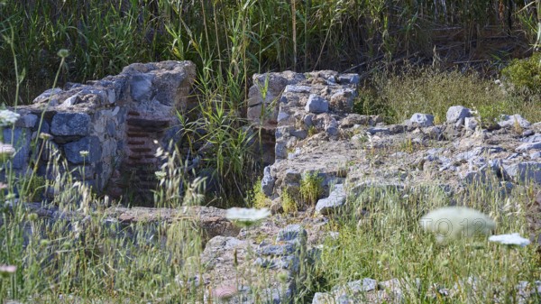 Remains of an ancient wall surrounded by plants in a historical site, ancient Roman bath, Tallaras,