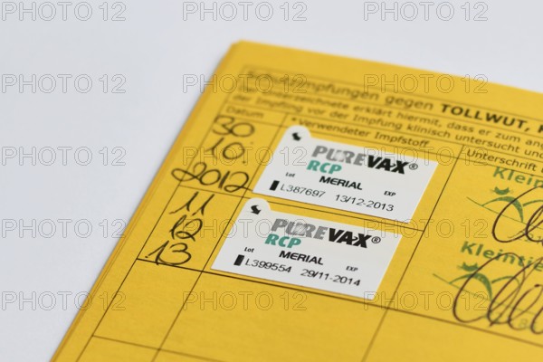 Germany - August 2nd 2025: Close up of PureVay RCP Merial vaccine sticker in cat passport.