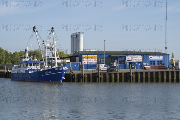 Fishing boats in the cutter harbour, fish market, outer harbour, Husum, North Frisia, North Sea,