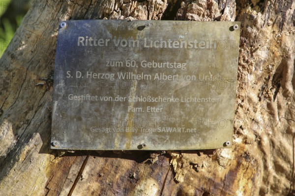Shield, inscription, Ritter vom Lichtenstein, wooden sculpture sawn by Billy Tröge, artist, for the