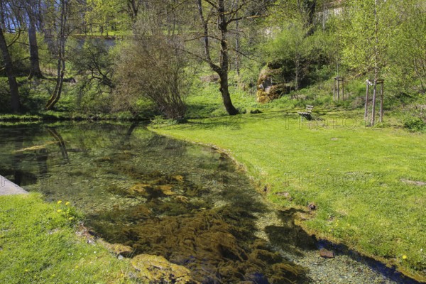 Lauter spring, Große Lauter, karst spring, body of water, park, idyll, meadow, lawn, trees,