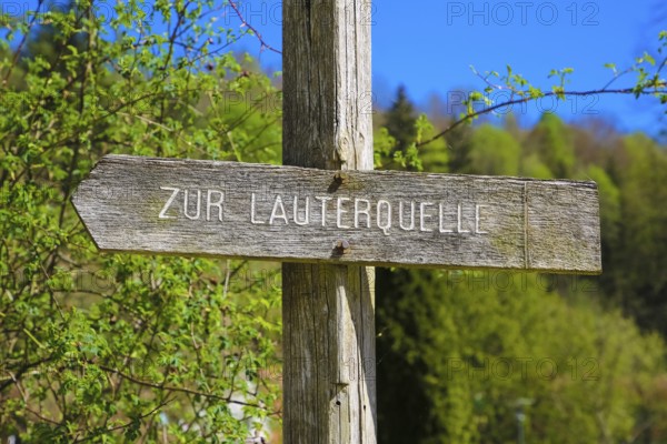 Signpost to the Lauter spring, Große Lauter, karst spring pot, park, idyll, Offenhausen,