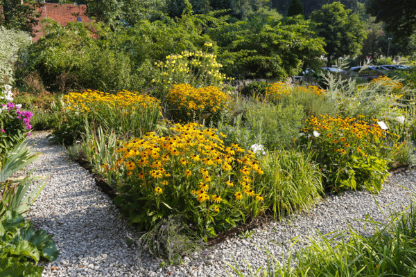 Herb garden near the stud farm museum and the Lauterquelle spring, various plants, perennials,