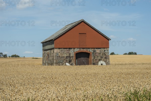 Former windmill converted into a warehouse surrounded by wheat fields at Ystad, Skåne County,