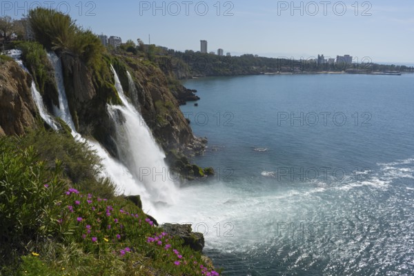 A waterfall cascades from cliffs into the sea, surrounded by flowers and a town in the distance,