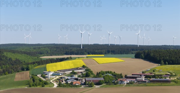 Idyllic landscape with wind turbines and blossoming rape fields in a small village, near