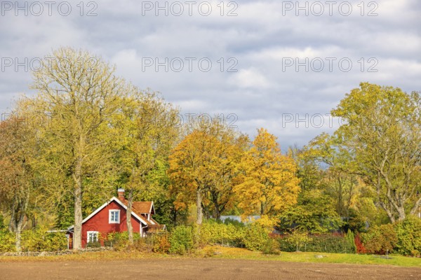 Red small wooden cottage in the Swedish countryside in a grove of trees with beautiful autumn