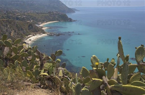 Extensive coastal landscape with cacti and turquoise blue sea, Ricadi, Capo Vaticano
