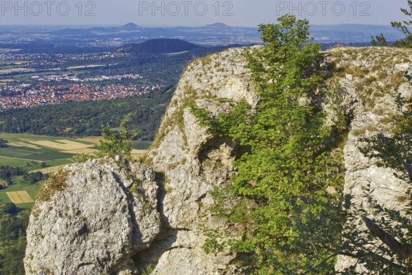 Breitenstein rock plateau with tree and panoramic view of fertile valley and mountains, Bissingen