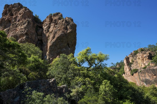 Gorge with red rocks, Gorges du Blavet, Bagnols-en-Forêt, near Saint-Raphaël, Massif de l'Esterel,