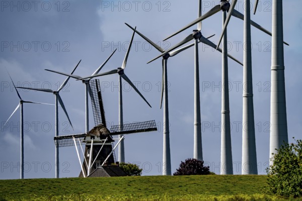Westereems and Growind wind farms, over 80 wind turbines in total, at the Eemshaven seaport,