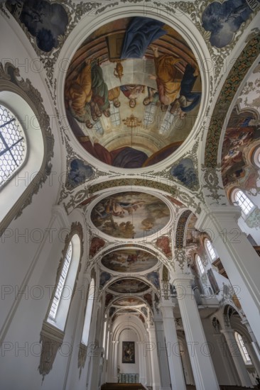 Side wing with dome paintings in St Martin's Church, Biberach an der Riß, Baden-Württemberg,