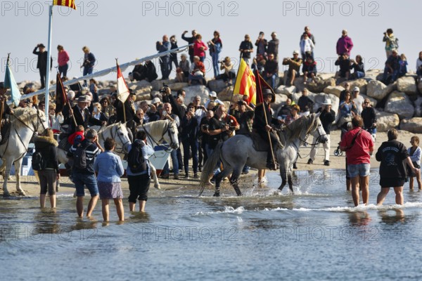 Crowd, guardians of the Camargue, traditional shepherds riding through water, rider on Camargue