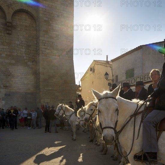 Guardian of the Camargue, rider on Camargue horse in front of the church, sunbeams, pilgrimage,