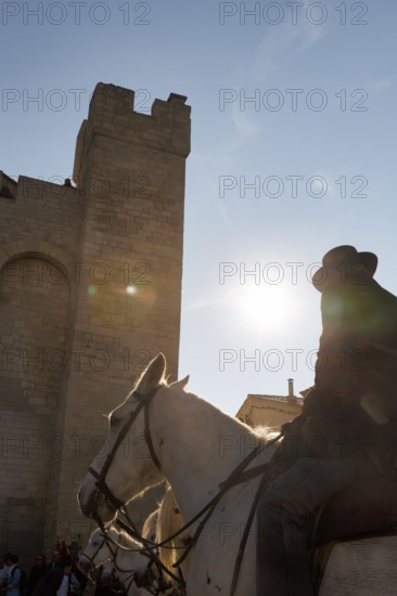 Guardian of the Camargue, rider on Camargue horse in front of the church, sunbeams, backlight,