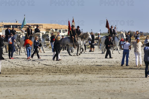 Guardians of the Camargue, traditional shepherds ride across the beach to the sea, rider on