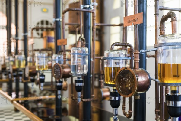 Interior view, Perfumery Molinard, Perfume manufacturer, Grasse, Alpes Maritimes, Provence Alpes