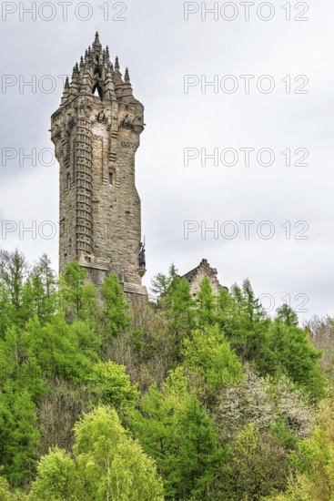 The National Wallace Monument, William Wallance Monument, Stirling, Scotland, UK