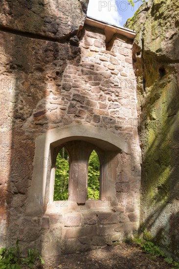 On the porphyry nature trail over the Rochlitzer Berg, so-called hermitage in the Seidelbruch,
