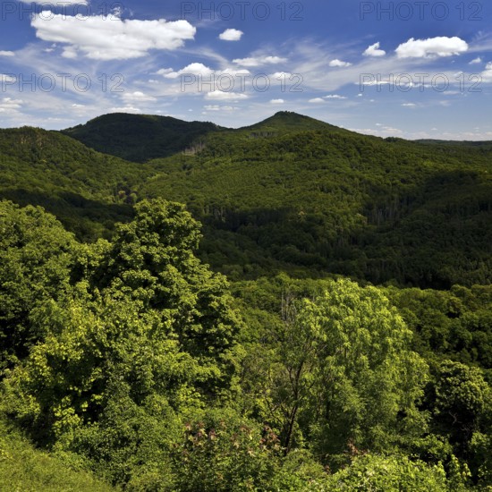 Siebengebirge, low mountain range on the right bank of the Rhine, Königswinter, North