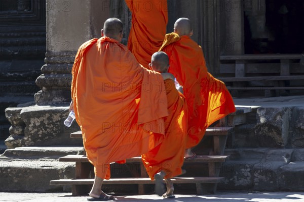 Buddhist monks and novices in orange monk's robes at the entrance to the Angkor Wat temple complex,