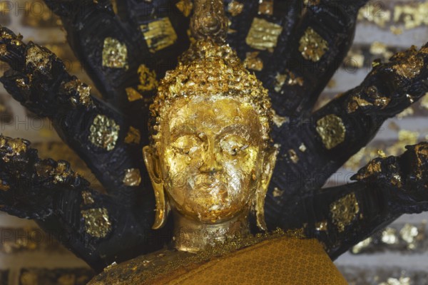 Buddha decorated with gold leaf, meditating under the protection of a seven-headed Naga snake, Phra