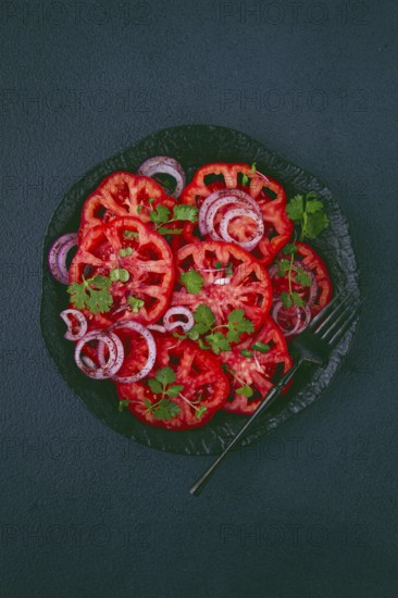 Freshly sliced tomatoes and red onions, garnished with herbs, on a black plate, summer salad, no