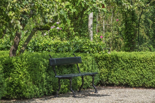 Park bench stands on a gravel path in front of lush green bushes and trees, Borg Verhildersum,