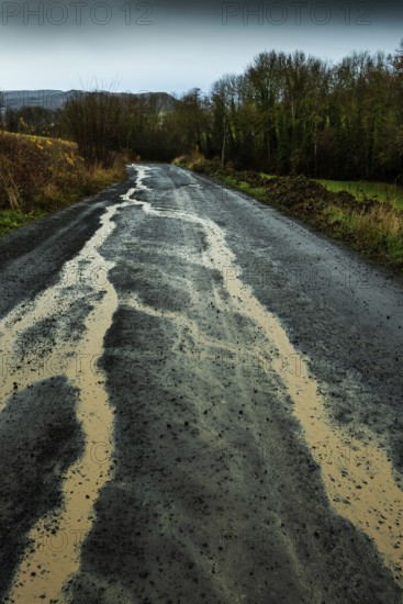 A winding rural road shows signs of heavy rain, with puddles forming along its surface. Puy de Dome