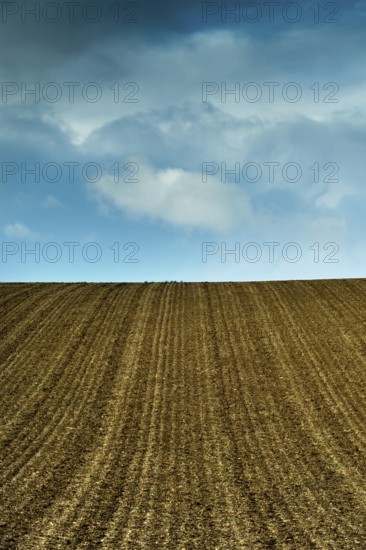 A plowed field displays parallel lines of tilled soil, stretching towards a vast blue sky adorned