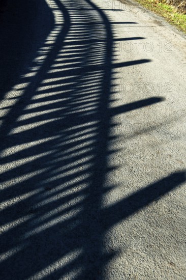 Shadows cast by a fence stretch across a sunlit path, creating an intriguing interplay of light and