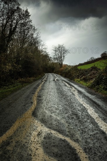 A winding country road stretches through a dense landscape, marked by tire tracks in the wet mud.