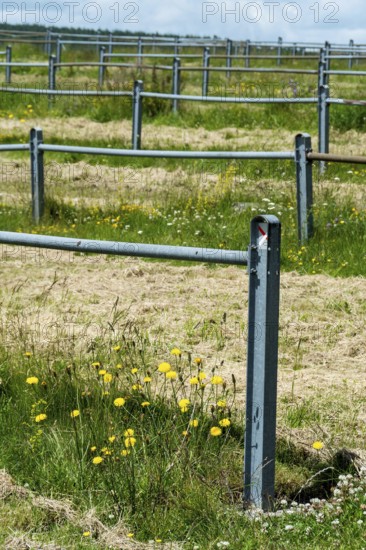 This rural landscape showcases a large open field bordered by blue metal fencing. Puy de Dome,
