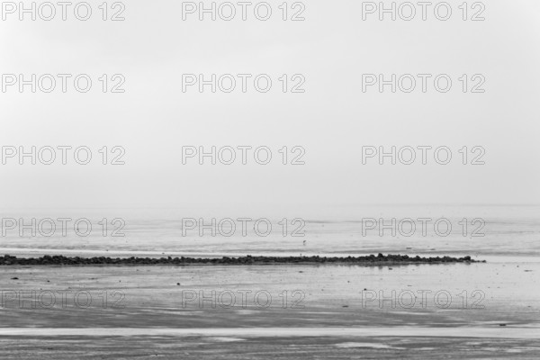 North Sea coast, cloudy winter day, Wadden Sea at low tide, stone groyne as coastal protection,
