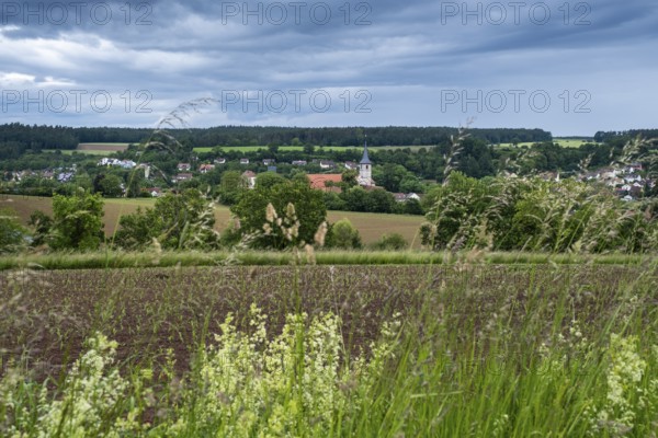 View of Münchsteinach from the Gigantic Bench, Steigerwald nature park Park, Middle Franconia,