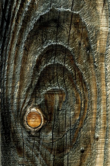Detailed view of weathered wood reveals beautiful patterns and textures formed by years of natural