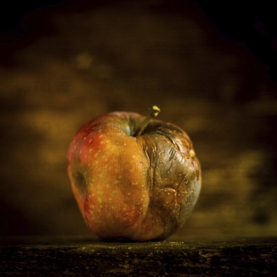 A decaying apple sits on a wooden surface, showcasing its wrinkled skin and faded color against a