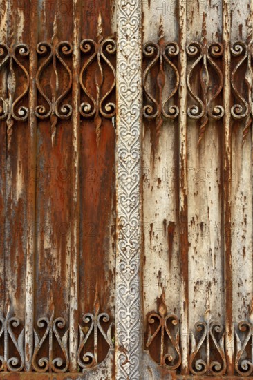 This scene showcases a weathered metal door featuring ornate decorative elements, displaying