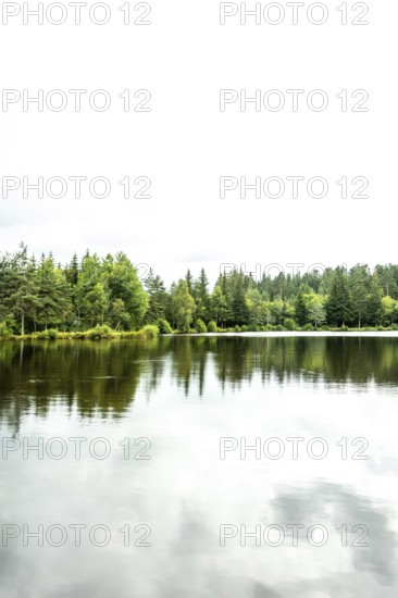 A peaceful lakeside scene showcases vibrant green trees surrounding a serene body of water. Puy de